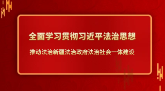 全面学习贯彻习近平法治思想 推动法治新疆法治政府法治社会一体建设